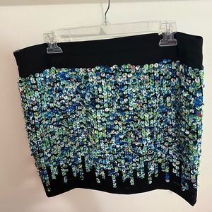 Ann Taylor skirt size 12
